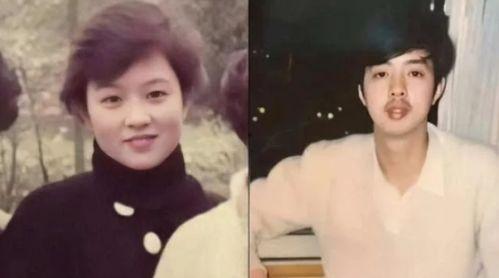 娱乐圈吃瓜爆料肖战小说,娱乐圈风云再起，揭秘明星背后的秘密